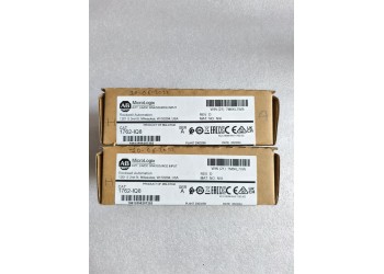 ALLEN-BRADLEY 1762-IQ8 ALLENBRADLEY 1762IQ8 8 PT 24 VDC SINK/SOURCE INPUT MODULE