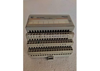 Allen Bradley 1794-OA8 Module