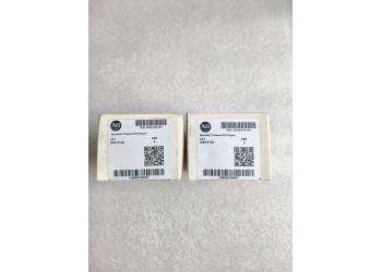 ALLEN-BRADLEY 2080-RTD2 ALLENBRADLEY 2080RTD2 MICRO 800 2 CHANNEL RTD PLUG-IN MODULE