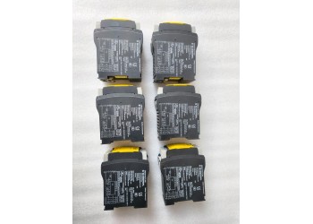 SCHMERSAL PROTECT SRB301HC/T-24V